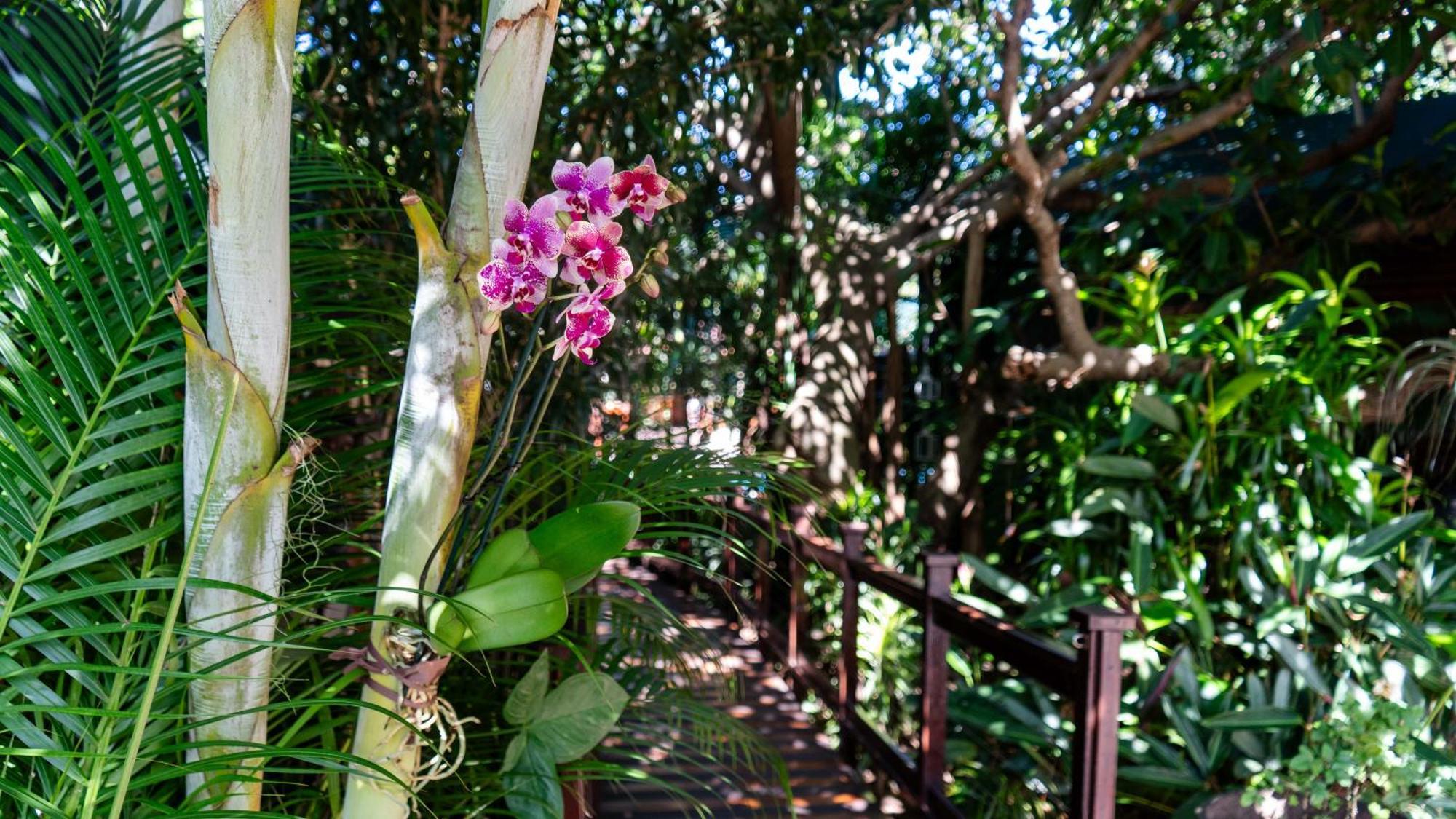 Luxury Tented Village @ Urban Glamping Saint Lucia Estuary Exterior foto